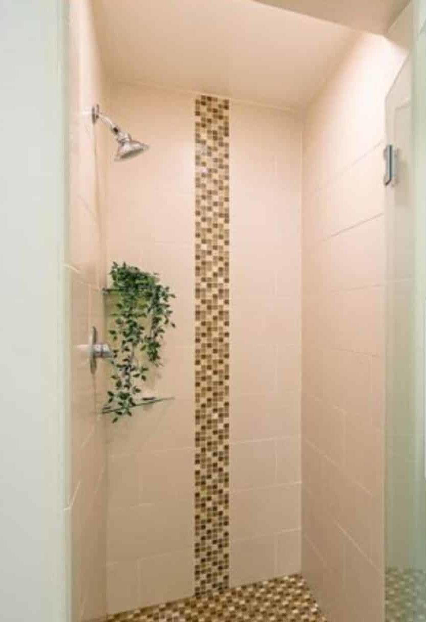 Shower with vertical mosaic tile stripe and rain showerhead